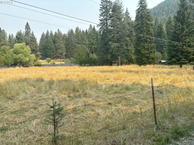 Wallowa Lake Lot For Sale in Joseph Oregon