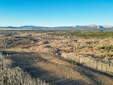 (private lake, pond, creek) Acreage For Sale in Fairplay Colorado