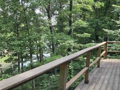 Lake Vagabond home with wraparound deck and patio. Privacy - photo 43