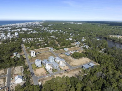 QUICK MOVE IN!! Welcome to Wildwood at Inlet Beach, where modern - photo 48