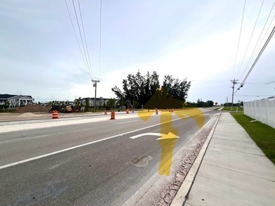 Commercial Lot with 10000 sqf in Pine Island Corridor zoning CC - photo 1