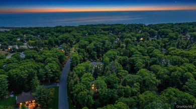 Tucked away on a beautifully landscaped 3/4-acre property, this - photo 44
