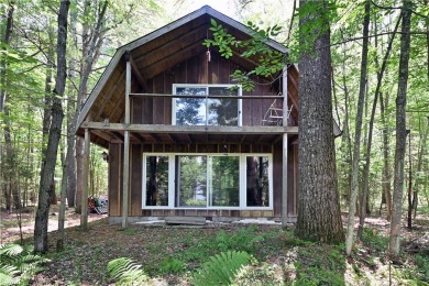 Lake Home For Sale in Shell Lake, Wisconsin