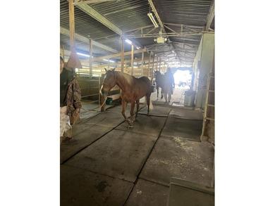 If home is where your horse is, try imagining yourself on this 9 - photo 11