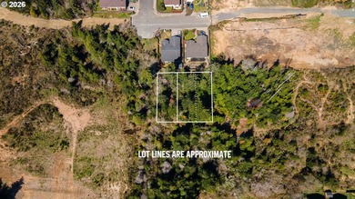 Take advantage of this rare opportunity to own a 0.09-acre - photo 2