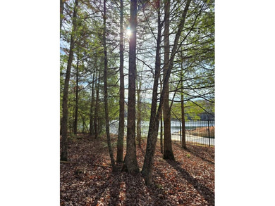 Chatham Lake Lot For Sale in Daniels West Virginia