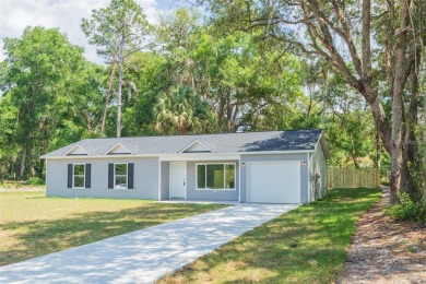 Lake Home For Sale in Silver Springs, Florida