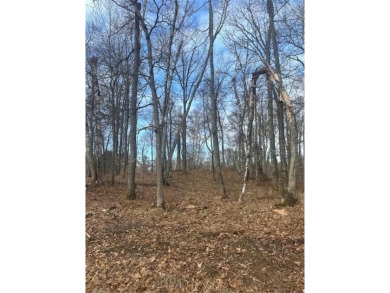 Daggett Lake Lot For Sale in Crosslake Minnesota