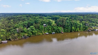 Experience premier lakefront living on Weiss Lake with - photo 37