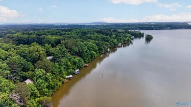 Experience premier lakefront living on Weiss Lake with - photo 38