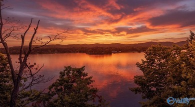 Experience premier lakefront living on Weiss Lake with - photo 41