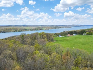 Your new home can be built here with a gorgeous view of Keuka - photo 11
