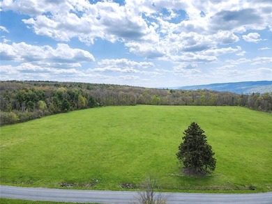 Your new home can be built here with a gorgeous view of Keuka - photo 14