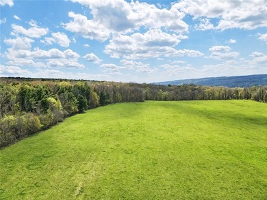 Your new home can be built here with a gorgeous view of Keuka - photo 18
