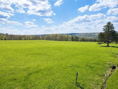 Your new home can be built here with a gorgeous view of Keuka - photo 20