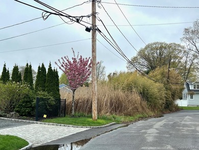 Vacant Lot Available w/Waterviews of the canal. Build your dream - photo 3