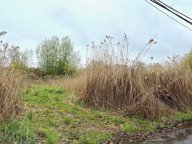 Vacant Lot Available w/Waterviews of the canal. Build your dream - photo 4