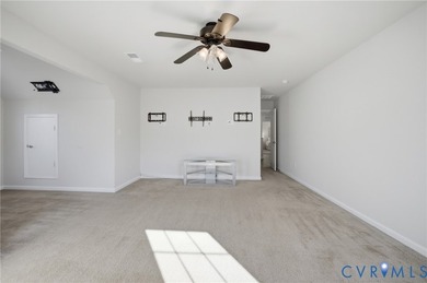 Nearly 3,500 square feet with a backyard built for entertaining - photo 33