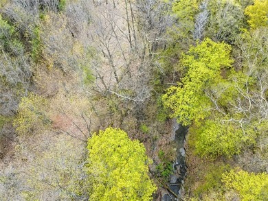 Your new home can be built here with a gorgeous view of Keuka - photo 19