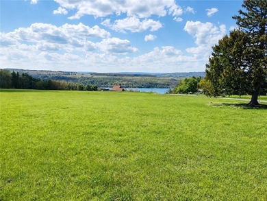 Your new home can be built here with a gorgeous view of Keuka - photo 21