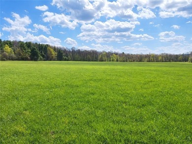 Your new home can be built here with a gorgeous view of Keuka - photo 23