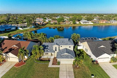 (private lake, pond, creek) Home For Sale in Parrish Florida