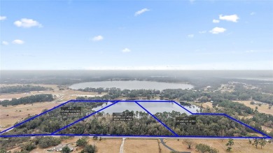 Lake Acreage Sale Pending in Umatilla, Florida
