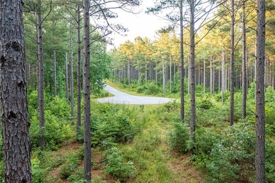 1.95-Acre Lake Keowee Lot in Private gated community. Build your - photo 10