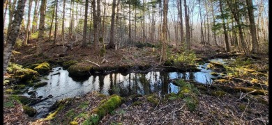  Acreage For Sale in Oakfield Maine