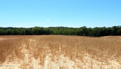 Grenada Reservoir Acreage For Sale in Grenada Mississippi