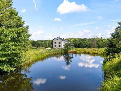 (private lake, pond, coastal) Home For Sale in Canton Maine