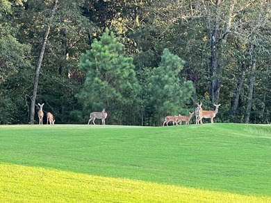 Offering this amazing 145+/- acre paradise with a beautiful - photo 6