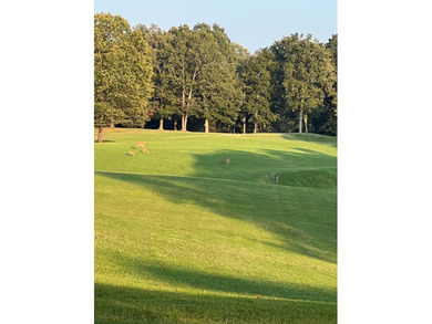 Offering this amazing 145+/- acre paradise with a beautiful - photo 7