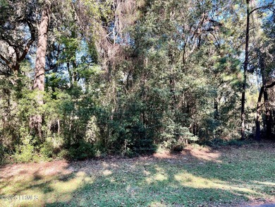 Beaufort River Lot For Sale in Lady's Island South Carolina