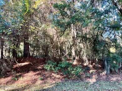 Beaufort River Lot Sale Pending in Lady's Island South Carolina