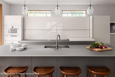One of Aspen's most storied addresses, 1006 E Cooper Ave is a - photo 7