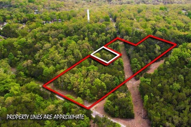 Lake Taneycomo Lot Sale Pending in Kissee Mills Missouri