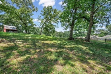 Charming 4 5 Acre Mini Farm in North Hall School District - photo 49