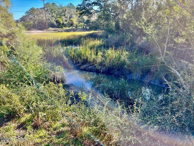 Beaufort River Lot For Sale in Lady's Island South Carolina