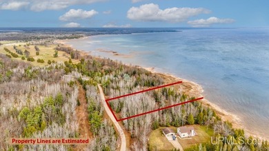 Lake Michigan - Delta County Lot For Sale in Nahma Michigan
