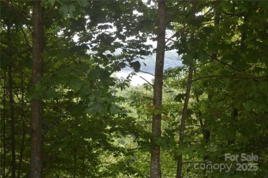 Lake Lot For Sale in Nebo, North Carolina