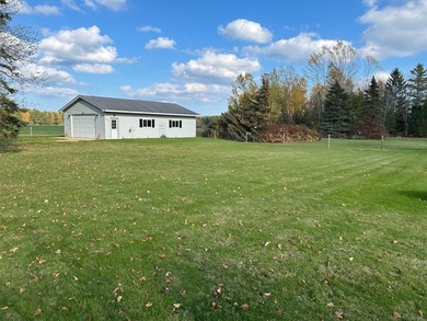 (private lake, pond, creek) Home For Sale in Forestville Michigan