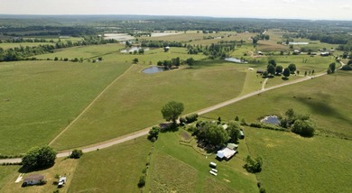 (private lake, pond, creek) Home For Sale in Pikeville Tennessee