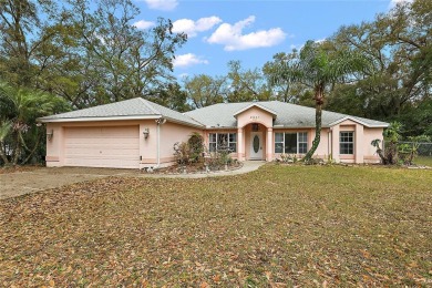 Lake Home For Sale in Lady Lake, Florida