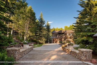 Experience the pinnacle of Woody Creek. This incredible 12,191 - photo 6