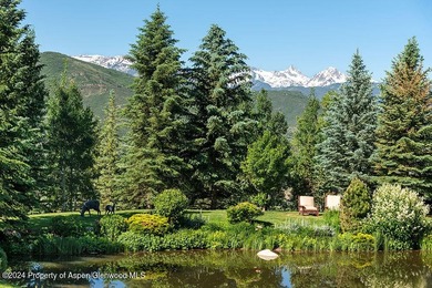 Experience the pinnacle of Woody Creek. This incredible 12,191 - photo 9