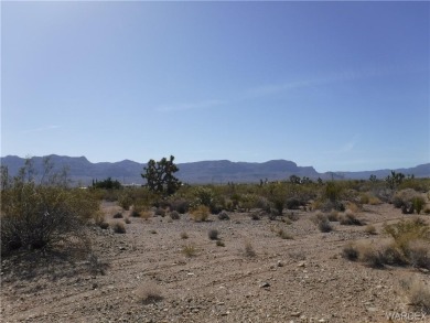 Lake Mead Lot For Sale in Meadview Arizona