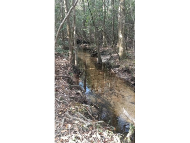 (private lake, pond, creek) Acreage For Sale in Crestview Florida