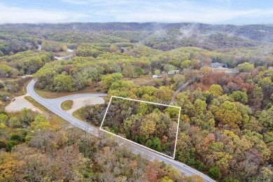 Lake Lot For Sale in Reeds Spring, Missouri
