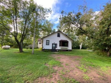 (private lake, pond, creek) Home For Sale in Windemere Twp Minnesota